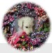 A photo of Lyla, a white standard poodle puppy