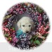 A photo of Briella, a white standard poodle puppy