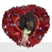 A photo of Grady, a blue standard poodle puppy